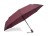 Parasol REGO bordowy